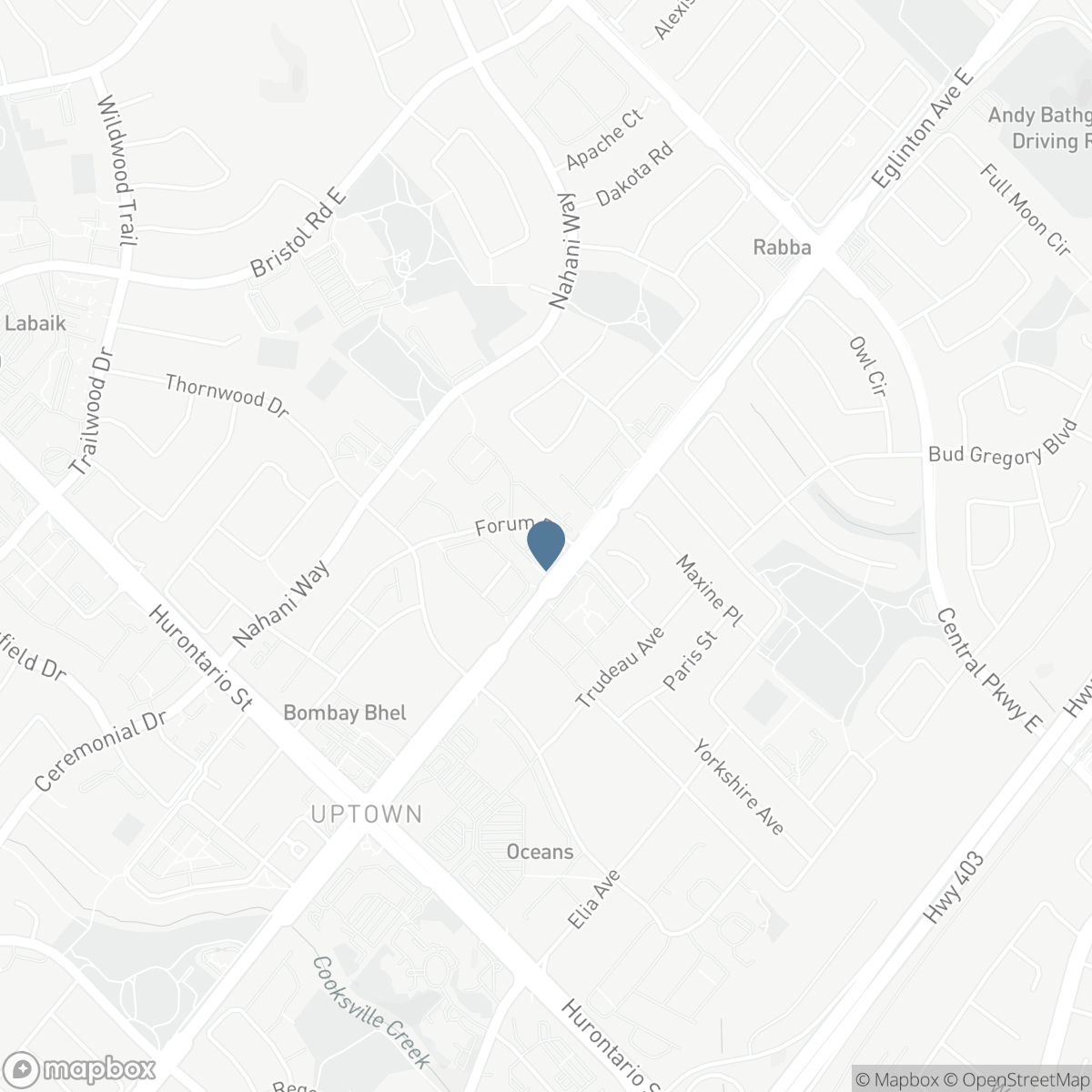 1107 - 220 FORUM DRIVE, Mississauga, Ontario L4Z 4K1